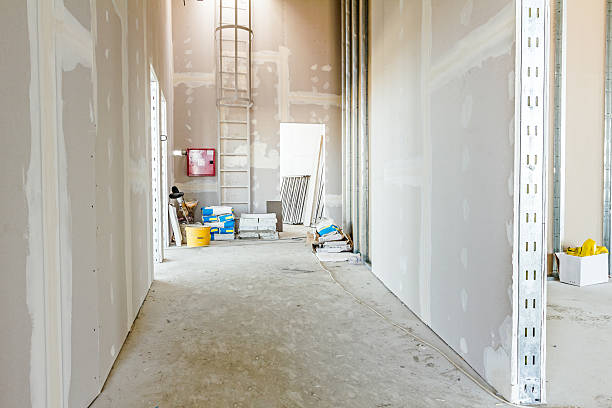 Best Drywall Removal and Disposal  in Lexington, TN